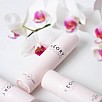 KĒORY YOUNG YOUR DAY CREAM and NIGHT CREAM and ANTI-WRINKLE SERUM